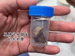 -佩兹宠物医院肿瘤专科·眼科·牙科(黄浦店)