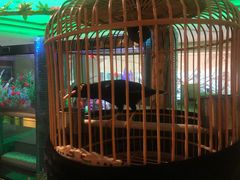 -成都世纪城假日酒店-西楼