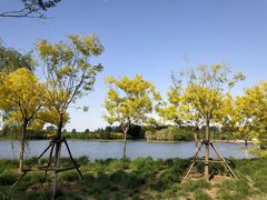 -东郊湿地公园