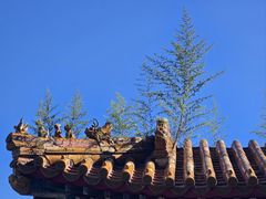 -普乐寺