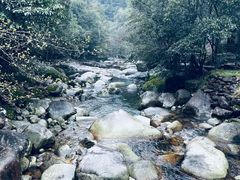 -大鄣山卧龙谷景区