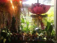 -芭缇沁园椰子鸡(中航紫金新天地店)