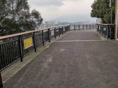 -金鸡山公园