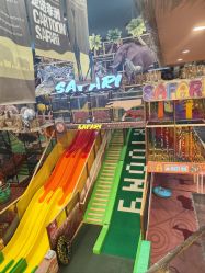 -卡通尼·Safari非洲探索乐园·生日会(金桥国际商业广场店)