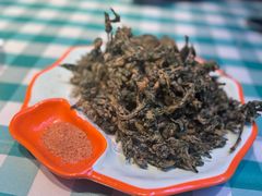 -向外鱼乐·土菜·虹鳟鱼