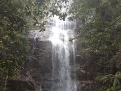 -九龙江国家森林公园