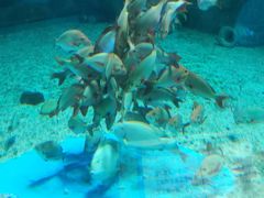 -泉城欧乐堡海洋极地世界