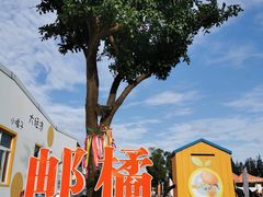 -前小桔亲子创意农场·草莓采摘·露营烧烤