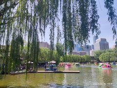 -团结湖公园