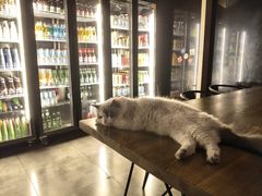 -故遥酒馆.赛事直播
