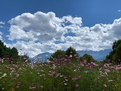 -康定跑马山风景区