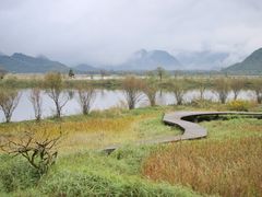 -大九湖