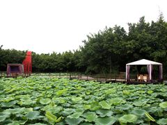 IMG_5195-茂德公草堂