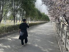 -汉长安城未央宫国家考古遗址公园