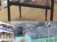 -悠尼宠物·独立低压伊珊娜洗护·美容·寄养(兰谷路店)