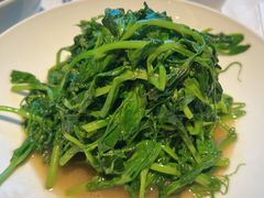 鸡汁地瓜苗-大铁勺新津菜(东丽阳光新业广场店)
