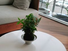 -宁波宝信宝马4S店(江北日湖店)