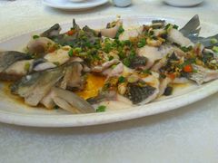 -有腥气私房菜·寻味顺德