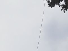 -芙蓉凰花园酒楼