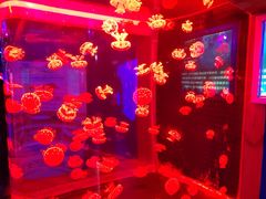 -多彩贵州城极地海洋世界