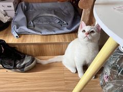 -双龙商场(环城南路店)