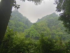 -青城山