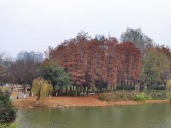 -古琴台