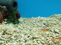 -北戴河圣蓝海洋公园