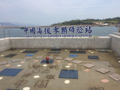 -中华人民共和国水准零点