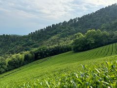 -敬亭山风景名胜区