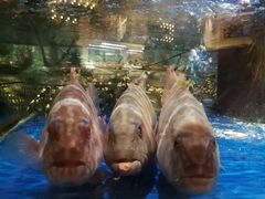 -盒马鲜生(莱蒙都会店)