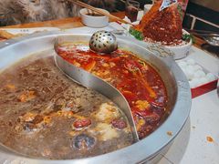 -大龙燚火锅(科华店)