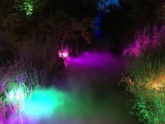 -拈花湾景区-五灯湖