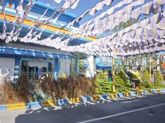 -厦门方特梦幻王国