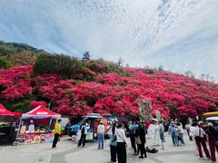 -木兰云雾山