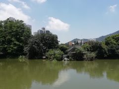-四海公园(南山区)