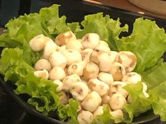 -东椰·海南椰子鸡火锅(朝阳门店)