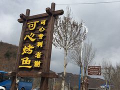 -可心烤鱼