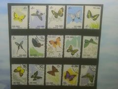 -上海昆虫博物馆