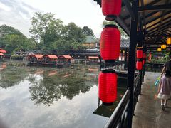 -侨美·唐荔园·40年地道粤菜