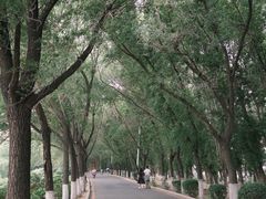 -丁香湖公园