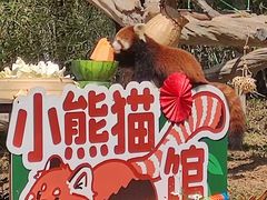 -广州动物园
