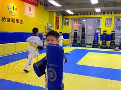 -哈喽实战跆拳道·跳绳·体能(慈云寺馆)