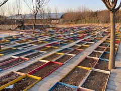 -西部长青自然儿童乐园