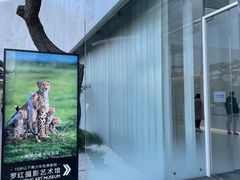 -罗红摄影艺术馆