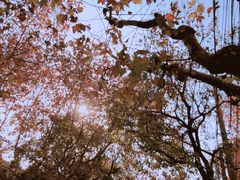 -上海安亭别墅花园酒店