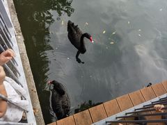 -武汉动物园