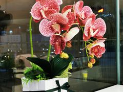 -妙井の茶(罗湖地王店)
