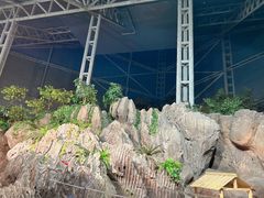 -上海海洋水族馆