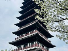 -宜兴龙背山森林公园